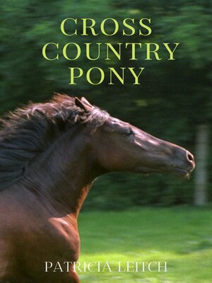 cover image of Cross Country Pony